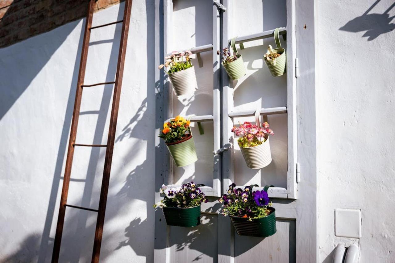 Rozmaring Vendeghaz Hotel Zengővárkony Bagian luar foto