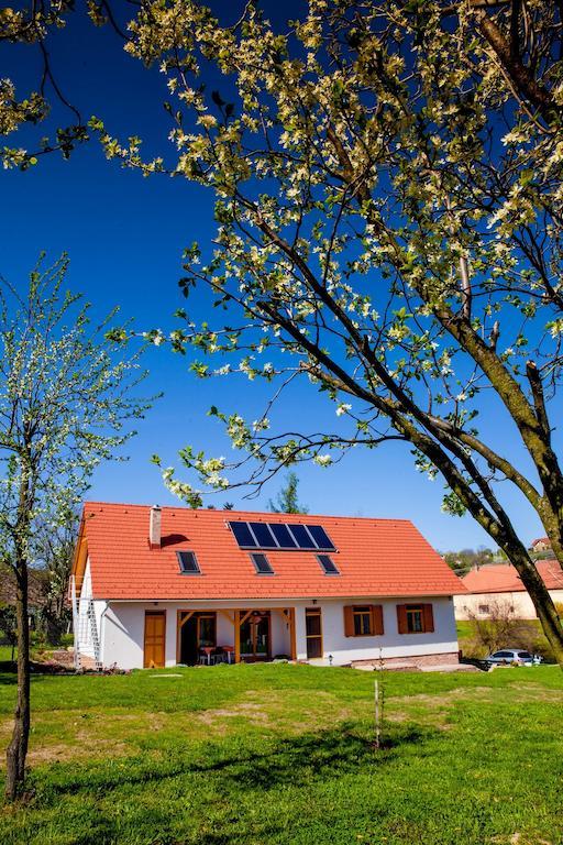 Rozmaring Vendeghaz Hotel Zengővárkony Bagian luar foto